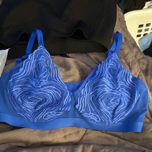 Shecurve Blue Lace Wireless Bralette